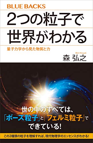 ２つの粒子で世界がわかる 量子力学から見た物質と力