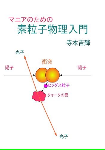 マニアの為の素粒子物理入門