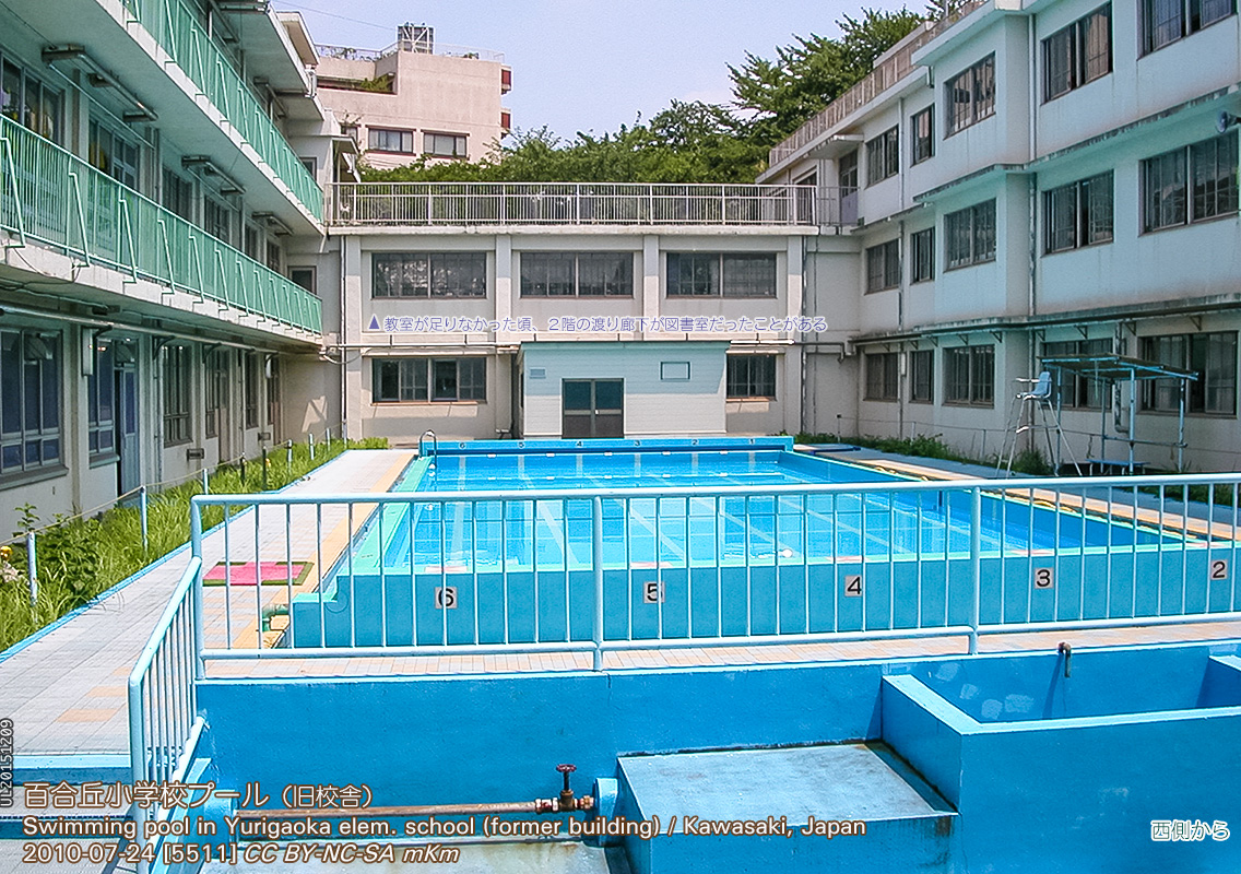 ファンネルウェブスパイダー すばらしいです ウルル プール 消毒 槽 ビジュアル 毎年 民間人